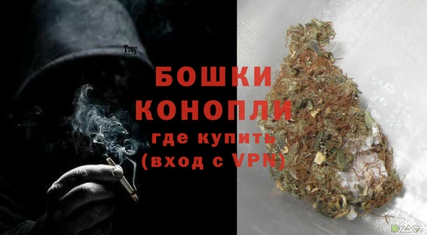 эйфоретик Ладушкин