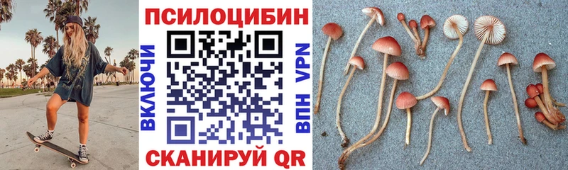 Галлюциногенные грибы мицелий Яхрома
